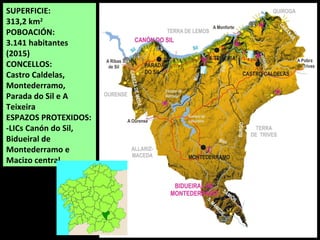 SUPERFICIE:
313,2 km2
POBOACIÓN:
3.141 habitantes
(2015)
CONCELLOS:
Castro Caldelas,
Montederramo,
Parada do Sil e A
Teixeira
ESPAZOS PROTEXIDOS:
-LICs Canón do Sil,
Bidueiral de
Montederramo e
Macizo central.
 