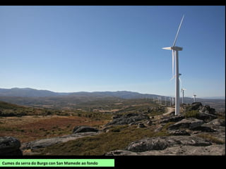 Cumes da serra do Burgo con San Mamede ao fondo
 