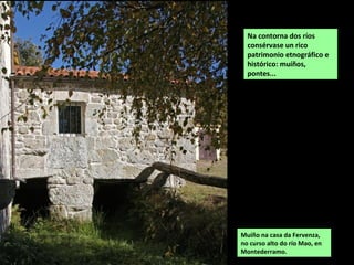 Muíño na casa da Fervenza,
no curso alto do río Mao, en
Montederramo.
Na contorna dos ríos
consérvase un rico
patrimonio etnográfico e
histórico: muíños,
pontes...
 