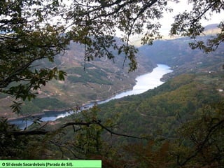 O Sil desde Sacardebois (Parada de Sil).
 