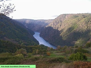 Vista desde Sacardebois (Parada de Sil).
 