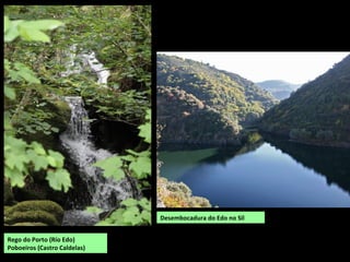 Rego do Porto (Río Edo)
Poboeiros (Castro Caldelas)
Desembocadura do Edo no Sil
 