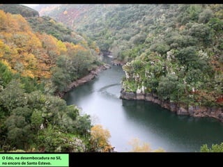 O Edo, na desembocadura no Sil,
no encoro de Santo Estevo.
 