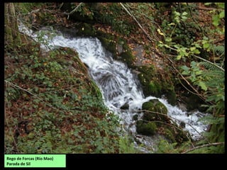 Rego de Forcas (Río Mao)
Parada de Sil
 