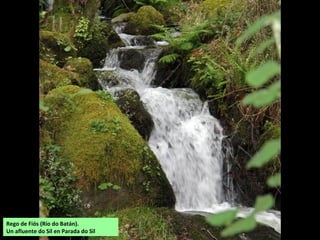 Rego de Fiós (Río do Batán).
Un afluente do Sil en Parada do Sil
 
