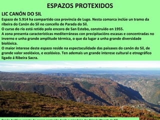 ESPAZOS PROTEXIDOS
LIC CANÓN DO SIL
Espazo de 5.914 ha compartido coa provincia de Lugo. Nesta comarca inclúe un tramo da
ribeira do Canón do Sil no concello de Parada do Sil.
O curso do río está retido polo encoro de San Estebo, construído en 1955.
A zona presenta características mediterráneas con precipitacións escasas e concentradas no
inverno e unha grande amplitude térmica, o que da lugar a unha grande diversidade
biolóxica.
O maior interese deste espazo reside na espectaculidade das paisaxes do canón do Sil, de
grande valor xeolóxico, e ecolóxico. Ten ademais un grande interese cultural e etnográfico
ligado á Ribeira Sacra.
 