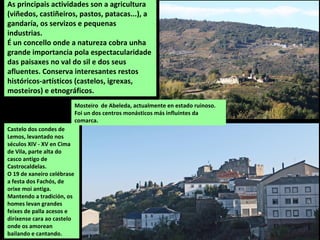 Castelo dos condes de
Lemos, levantado nos
séculos XIV - XV en Cima
de Vila, parte alta do
casco antigo de
Castrocaldelas.
O 19 de xaneiro celébrase
a festa dos Fachós, de
orixe moi antiga.
Mantendo a tradición, os
homes levan grandes
feixes de palla acesos e
diríxense cara ao castelo
onde os amorean
bailando e cantando.
As principais actividades son a agricultura
(viñedos, castiñeiros, pastos, patacas...), a
gandaría, os servizos e pequenas
industrias.
É un concello onde a natureza cobra unha
grande importancia pola espectacularidade
das paisaxes no val do sil e dos seus
afluentes. Conserva interesantes restos
históricos-artísticos (castelos, igrexas,
mosteiros) e etnográficos.
Mosteiro de Abeleda, actualmente en estado ruinoso.
Foi un dos centros monásticos más influíntes da
comarca.
 
