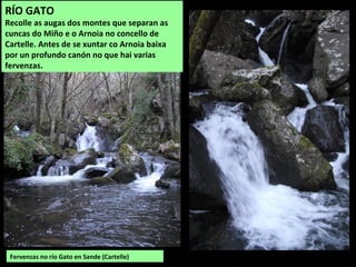 Fervenzas no río Gato en Sande (Cartelle)
RÍO GATO
Recolle as augas dos montes que separan as
cuncas do Miño e o Arnoia no concello de
Cartelle. Antes de se xuntar co Arnoia baixa
por un profundo canón no que hai varias
fervenzas.
 