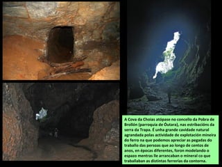 Sobreira (Quercus suber)
-Casa do Tristo (Santiorxo) San Cosme de
Liñares (A Pobra de Brollón). Ten perto de 500
anos, 16 m de altura, e un diámetro
considerable debido as nórregas que rodean o
toro. O interior está oco.
INCLUÍDA NO CATÁLOGO DE ÁRBORES
SENLLEIRAS DA XUNTA DE GALIZA
 