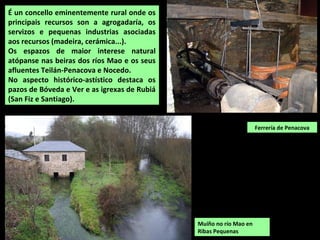 Mosteiro de Ferreira de Pantón (Pantón)
 