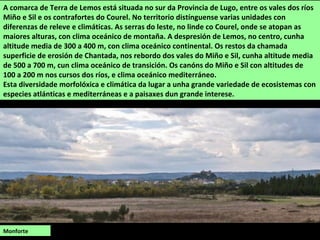 A comarca de Terra de Lemos está situada no sur da Provincia de Lugo, entre os vales dos ríos
Miño e Sil e os contrafortes do Courel. No territorio distínguense varias unidades con
diferenzas de releve e climáticas. As serras do leste, no linde co Courel, onde se atopan as
maiores alturas, con clima oceánico de montaña. A despresión de Lemos, no centro, cunha
altitude media de 300 a 400 m, con clima oceánico continental. Os restos da chamada
superficie de erosión de Chantada, nos rebordo dos vales do Miño e Sil, cunha altitude media
de 500 a 700 m, cun clima oceánico de transición. Os canóns do Miño e Sil con altitudes de
100 a 200 m nos cursos dos ríos, e clima oceánico mediterráneo.
Esta diversidade morfolóxica e climática da lugar a unha grande variedade de ecosistemas con
especies atlánticas e mediterráneas e a paisaxes dun grande interese.
Monforte
 