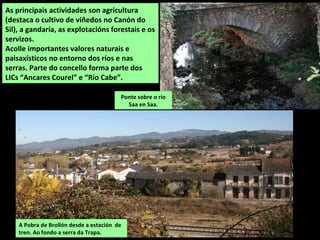 SUPERFICIE: 199,44 km2
POBOACIÓN: 19.061 habitantes
(2015)
PARROQUIAS:
Baamorto, Bascós, Caneda, O
Chao do Fabeiro, Chavaga,
Distriz, Fiolleda, Gullade,
Guntín, Marcelle, Monforte de
Lemos, Moreda, As Nocedas, A
Parte, A Penela, Piñeira,
Reigada, Ribas
Altas, Rozavales, San Xillao de
Tor, Santa Mariña do
Monte, Seoane, Sindrán, Tor,
Valverde, A Vide, Vilamarín.
Vista do convento da Compañía co monte de San Vicente do Pino ao
fondo, no que se atopa a Torre dos Condes de Lemos e o convento de
San Vicente, na actualidade Parador de Turismo.
MONFORTE DE LEMOS
Está situado no centro da comarca. O principal núcleo de poboación é Monforte (segunda
cidade da provincia de Lugo), capital do concello e da comarca, onde se concentran a maior
parte dos servizos e das actividades comerciais e industriais.
O releve é maiormente chan. A depresión de Monforte ocupa a maior parte do territorio do
concello, cunha altitude de 300 a 400 m, percorrida no centro polo río Cabe e parte do curso
dos seus afluentes Mao e Cinsa. O Sil linda co concello polo sur. Os cumes máis importantes
atópanse no sur (Bidual, con 813 m, e Serra de Auga Levada), onde descende bruscamente
cara ao canón do Sil; no leste, no linde con A Pobra do Brollón (Moncai, con 531 m); e no
noroeste (san Cristovo, con 618 m), no linde con Bóveda e O Saviñao.
 