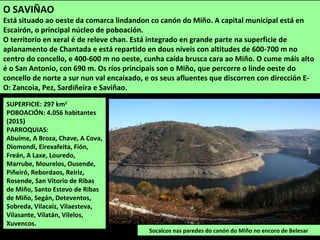 Monforte foi sempre un importante no
de comunicacións ferroviarias e por
estrada. Noutros tempos tiveron gran
importancia as actividades asociadas
ao ferrocarril. Na actualidade os
antigos obradoiro de Renfe están
convertidos nun museo onde se poden
visitar trens e máquinas de diferentes
épocas.
As principais actividades son os servizos, o
comercio, a industria a agricultura
(especialmente o cultivo do viñedo) e a
gandaría.
Os principais valores naturais atópanse no
Canón do Sil e no val do Cabe (protexido como
LIC).
É un concello que acolle un importante
patrimonio histórico artístico: castelo dos
Condes de Lemos, conventos de San Vicente
do Pino e A Compañía, igrexas románicas,
pazos...
Torre medieval da fortaleza dos condes de
Lemos no cume do monte de San Vicente do
Pino, un expléndido miradoiro sobre a
cidade e a comarca de Lemos.
 