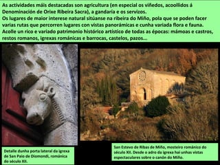 SUPERFICIE: 143,18 km2
POBOACIÓN: 2.708
habitantes (2014)
PARROQUIAS: Acedre, Atán,
Cangas, Castillón, Deade
Eiré Espasantes, Ferreira de
Pantón, Frontón, Mañente,
Moreda, Pantón, Pombeiro,
Ribeiras de Miño, San Fiz de
Cangas, San Vicente de
Castillón, Santalla de Toiriz,
Santo Estevo do Mato,
Següín, Serode, Siós, Toiriz,
Toldaos, Tribás, Vilamelle,
Vilar de Ortelle.
Vides no canón do Miño
PANTÓN
Está situado ao suroeste da comarca rodeado polos ríos Miño, ao oeste, Sil, ao sur, e Cabe, ao
leste.
A capital do concello é O Castro de Ferreira, na parroquia de Ferreira de Pantón.
O releve do territorio está diferenciazo en tres zonas: unha parte chan situada ao leste, na
depresión de Monforte, cunha altitude media de 300 a 400 m; unha superficie de
palanamento de 500 a 600 m de altitude, e os canóns dos ríos, de paredes con grandes
desniveis. As alturas máis destacadas están situadas ao sur, oeste e norte: Montes de San
Paio, co Penapombeiro (707 m); Ortelle (675 m ), San Cibrán (571 m) e Castillón (659).
 