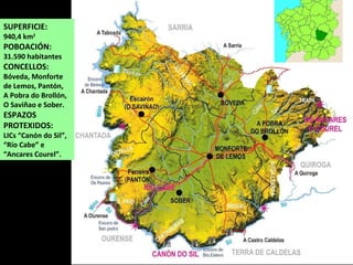 SUPERFICIE:
940,4 km2
POBOACIÓN:
31.590 habitantes
CONCELLOS:
Bóveda, Monforte
de Lemos, Pantón,
A Pobra do Brollón,
O Saviñao e Sober.
ESPAZOS
PROTEXIDOS:
LICs “Canón do Sil”,
“Río Cabe” e
“Ancares Courel”.
 