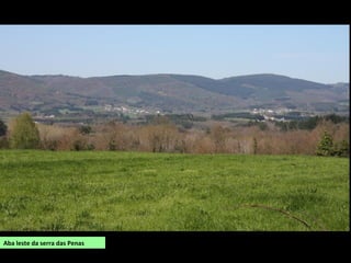 Paredes graníticas no Canón do Sil
Os materiais son moi variados. No suroeste, norte e leste predominan as rochas
metamórficas. No sur e oeste abondan os granitos e no centro da depresión os materiais
sedimentarios, entre os que son comúns as arxilas.
 