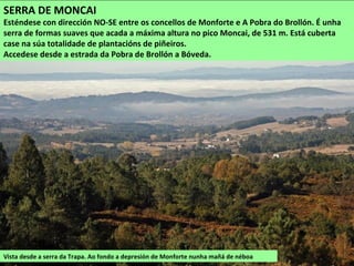 Serra da Trapa
A vexetación é moi variada debido ás diferenzas altitudinais e climáticas. Nos cumes domina o
mato de uces e carqueixas e nas ladeiras hai grandes extensión repoboadas con piñeiros. Nos
vales máis escarpados das serras consérvanse carballeiras cunha gran diversidade botánica e
no Canón do Sil atópanse bosques autóctonos con mestura de especies mediterráneas
(sobreiras, érvedos, aciñeiras...)
 