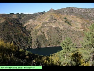 Unha gran parte está repoboada de piñeiros e nas abas máis abruptas conserva fragas dunha
gran biodiversidade.
Desde os cumes hai unhas vistas espectaculares sobre toda a comarca de Lemos, parte do val
do Sil, O Courel, Samos e O Incio.
Accedese desde Pobra de Brollón pola estrada que sube desde Saa aos cumes. Pódese facer a ruta tamén
desde o Incio ou desde O Courel.
Plantación de piñeiros
 