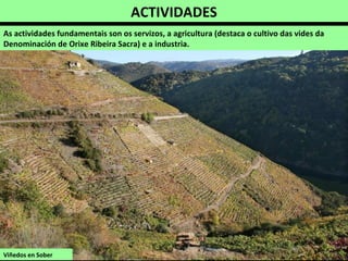 ACTIVIDADES
As actividades fundamentais son os servizos, a agricultura (destaca o cultivo das vides da
Denominación de Orixe Ribeira Sacra) e a industria.
Viñedos en Sober
 