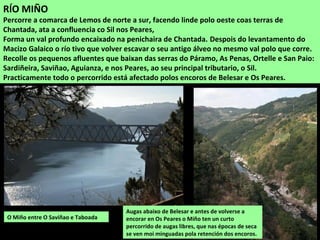 OS RÍOS
Canón do Sil en Doade,
onde se atopa o
embarcadoiro do
catamarán turístco.
O río principal da comarca de
Lemos é o Miño, que percorre de
norte a sur o límite oeste ata a
confluencia co Sil nos Peares. O
Sil fai de linde polo sur e o Cabe
atavesaa de NE a SO.
Os vales dos ríos presentan
grandes diferenzas entre o
percorrido pola chaira de Lemos,
cun discorrer maino e sinuoso,
con amplas marxes e bosques de
ribeira e os canóns onde se
encaixan en paredes con
desniveis que acadan nalgúns
puntos máis de 500 m de altura.
 