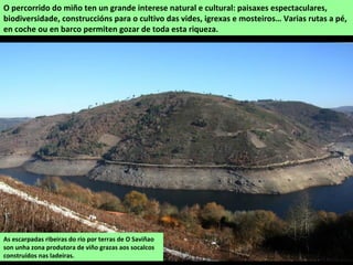 Ponte romana sobre o Cabe en Monforte,
unha das mostras da riqueza patrimonial na
contorna dos ríos da comarca.
Os vales fluviais son o elemento máis
característico e que condicionan en grande
parte as riquezas naturais desta comarca:
impresionantes canóns, fervenzas, remansos,
bosques de ribeira, fragas con mestura de
especies atlánticas e mediterráneas e unha
rica flora e fauna asociadas á auga. A isto hai
que engadir o aspecto humano: os socalcos
traballados durante séculos para cultivar as
vides, os soutos e os múltiples
aproveitamentos (muíños, ferrerías, canles de
rego, áreas de lecer) e obras.
Un dos numerosos regos que
caen ao Sil desde as beiras do
canón, en Sober. Son ríos de
réxime moi variable que no verán
quedan case sen auga.
 