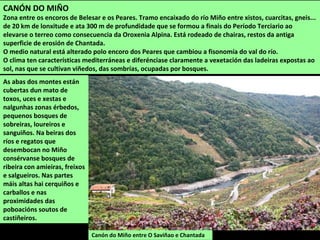 Nas proximidades dos ríos hai salgueiros, amieiras, chopos, freixos, lidoiros e ailantos.
Próximos aos ríos e nas zonas máis secas hai grandes estensión de mimosas.
 