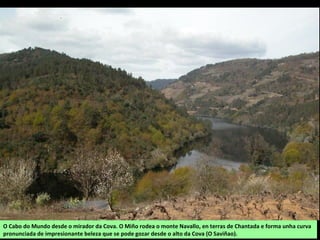 Aeshna, o máis grande dos cabaliños do demo.
Patinador ou zapateiro (Gerris lacustris). Vive na
superficie da auga estancada ou de corrente lenta
onde se alimenta doutros insectos.
Cegoña
(Ciconia ciconia)
 
