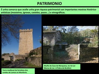 PATRIMONIO
É unha comarca que acolle unha gran riqueza patrimonial con importantes mostras histórico-
artísticas (mosteiros, igrexas, castelos, pazos...) e etnográficas.
Torre medieval da fortaleza dos
condes de Lemos en Monforte.
Torre da Candaira (Rebordaos, O Saviñao)
 