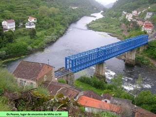 Canón do Miño desde San Vitorio (O Saviñao)
 