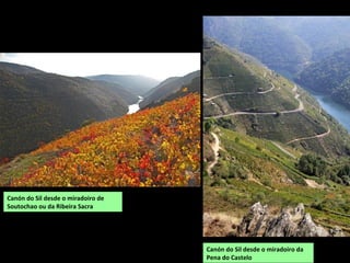 O Sil en Amandi (Doade). Os viñedos gabean polas paredes do canón
 