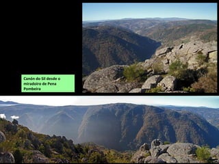 Canón do Sil desde o miradoiro do Duque
Ao longo do percorrido do Sil hai numerosos miradores desde os que se pode gozar dunhas vistas
espectaculares do canón: O Duque (Monforte), O Castelo (Doade-Sober), Souto Chao (Doade-Sober), Os
Chelos (Amandi-Sober), As Cadeiras (Pinol-Sober), a Cividade ou Cotarro 1 e Boqueiriños ou Cotarro 2,
(Bolmente, Sober), Pena Pombeira (Pantón)...
 