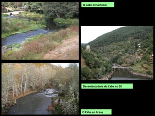 Canón do Sil desde o miradoiro de Boqueiriño
 