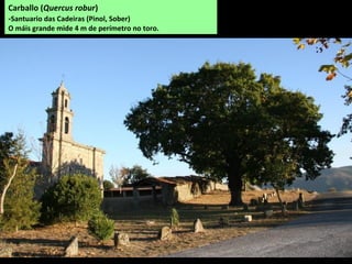 REGO DE CAMILO
Nace en Arxemil e xúntase co Sil en Xábrega. Ten un curto percorrido no que se conservan
varios muíños e unha fervenza.
Fervenza de Xábrega
 