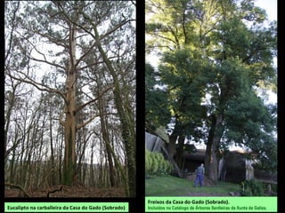 MONTAXE E FOTOS: Adela Leiro, Mon Daporta
abril 2017
 