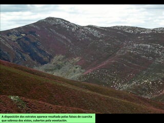 A disposición dos estratos aparece resaltada polas faixas de cuarcita
que sobresa dos xistos, cubertos pola vexetación.
 