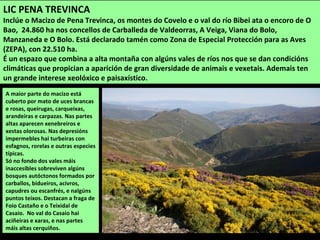 A maior parte do macizo está
cuberto por mato de uces brancas
e rosas, queirugas, carqueixas,
arandeiras e carpazas. Nas partes
altas aparecen xenebreiros e
xestas olorosas. Nas depresións
impermebles hai turbeiras con
esfagnos, rorelas e outras especies
típicas.
Só no fondo dos vales máis
inaccesibles sobreviven algúns
bosques autóctonos formados por
carballos, bidueiros, acivros,
capudres ou escanfrés, e nalgúns
puntos teixos. Destacan a fraga de
Foio Castaño e o Teixidal de
Casaio. No val do Casaio hai
aciñeiras e xaras, e nas partes
máis altas cerquiños.
LIC PENA TREVINCA
Inclúe o Macizo de Pena Trevinca, os montes do Covelo e o val do río Bibei ata o encoro de O
Bao, 24.860 ha nos concellos de Carballeda de Valdeorras, A Veiga, Viana do Bolo,
Manzaneda e O Bolo. Está declarado tamén como Zona de Especial Protección para as Aves
(ZEPA), con 22.510 ha.
É un espazo que combina a alta montaña con algúns vales de ríos nos que se dan condicións
climáticas que propician a aparición de gran diversidade de animais e vexetais. Ademais ten
un grande interese xeolóxico e paisaxístico.
 