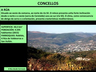 CONCELLOS
SUPERFICIE: 30,5 km2
POBOACIÓN: 4.595
habitantes (2015)
PARROQUIAS: Roblido,
A Rúa de Valdeorras e
San Xulián.
A Rúa desde Correxais
A RÚA
Situado ao oeste da comarca, ao norte do río Sil. O relevo presenta unha forte inclinación
desde o norte e o oeste (serra do Cereixido) cara ao sur (río Sil). O clima, como consecuencia
do abrigo da serra e a orientación, presenta cracterísticas mediterráneas.
 