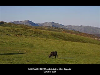 MONTAXE E FOTOS: Adela Leiro, Mon Daporta
Outubro 2016
 