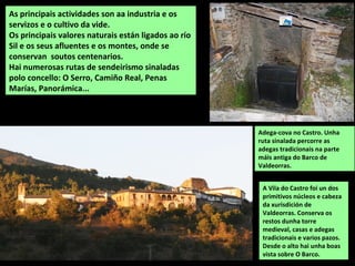 A Vila do Castro foi un dos
primitivos núcleos e cabeza
da xurisdición de
Valdeorras. Conserva os
restos dunha torre
medieval, casas e adegas
tradicionais e varios pazos.
Desde o alto hai unha boas
vista sobre O Barco.
As principais actividades son aa industria e os
servizos e o cultivo da vide.
Os principais valores naturais están ligados ao río
Sil e os seus afluentes e os montes, onde se
conservan soutos centenarios.
Hai numerosas rutas de sendeirismo sinaladas
polo concello: O Serro, Camiño Real, Penas
Marías, Panorámica...
Adega-cova no Castro. Unha
ruta sinalada percorre as
adegas tradicionais na parte
máis antiga do Barco de
Valdeorras.
 
