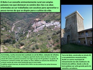 O Bolo é un concello eminentemente rural con amplas
paisaxes nas que destacan os canóns dos ríos e as abas
orientadas ao sur traballadas con socalcos para aproveitar o
pouco terreo de que se dispón para o cultivo da vide.
Torre do Bolo, construída no século XII
e con posteriores reconstrucións.
Acolle un centro municipal de
interpretación da vida medieval e da
historia do edificio. Desde o alto da
torre pódese ver unha grande parte do
concello e arredores.
As Ermidas, nunha encosta ben asollada no val do Bibei, rodeado de viñedos.
A historia das Ermidas comeza ca milagrosa aparición dunha imaxe da Virxe a finais do
século XIII cando os pastores escavaron nun lugar ao que non lle gustaba ir ao gando. Alí
levantaron a primeira ermida, que acabou no chan, debido ao costume dos devotos de
arrancar anacos de rocha como protección para os seus males.
O edificio actual é barroco, do século XVII e XVII e na súa contorna hai unhas fermosas
fontes de pedra.
 