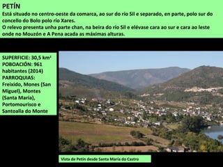 SUPERFICIE: 30,5 km2
POBOACIÓN: 961
habitantes (2014)
PARROQUIAS:
Freixido, Mones (San
Miguel), Montes
(Santa María),
Portomourisco e
Santoalla do Monte
PETÍN
Está situado no centro-oeste da comarca, ao sur do río Sil e separado, en parte, polo sur do
concello do Bolo polo río Xares.
O relevo presenta unha parte chan, na beira do río Sil e elévase cara ao sur e cara ao leste
onde no Mouzón e A Pena acada as máximas alturas.
Vista de Petín desde Santa María do Castro
 