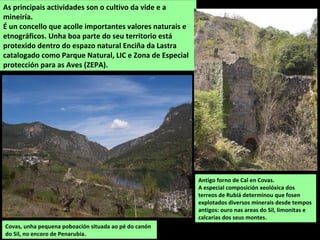 As principais actividades son o cultivo da vide e a
mineiría.
É un concello que acolle importantes valores naturais e
etnográficos. Unha boa parte do seu territorio está
protexido dentro do espazo natural Enciña da Lastra
catalogado como Parque Natural, LIC e Zona de Especial
protección para as Aves (ZEPA).
Antigo forno de Cal en Covas.
A especial composición xeolóxica dos
terreos de Rubiá determinou que fosen
explotados diversos minerais desde tempos
antigos: ouro nas areas do Sil, limonitas e
calcarias dos seus montes.
Covas, unha pequena poboación situada ao pé do canón
do Sil, no encoro de Penarubia.
 