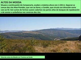 Vista dos antos da Moeda con Trevinca ao fondo
ALTOS DA MOEDA
Situaos a continuación do Campanario, acadan a máxima altura con 1.526 m. Separan as
concas dos ríos Mao-Paredes, que van ao Xares, e Candés, que circula con dirección norte
cara ao Sil. Son cumes de formas suaves cubertos nas partes altas de bosques de repoboación
e de soutos e carballeiras nos cavorcos dos ríos.
 