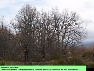 Rebolos na serra Calva.
Unha ruta que sae de Xares pasa por Corzós e Valdín e remata nas carballeiras das abas da serra Calva.
 