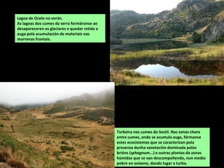 Lagoa de Ocelo no verán.
As lagoas dos cumes da serra formáronse ao
desapareceren os glaciares e quedar retida a
auga pola acumulación de materiais nas
morrenas frontais.
Turbeira nos cumes do Sestil. Nas zonas chans
entre cumes, onde se acumula auga, fórmanse
estes ecosistemas que se caracterizan pola
presenza dunha vexetación dominada polos
brións (sphagnum...) e outras plantas da zonas
húmidas que se van descompoñendo, nun medio
pobre en osíxeno, dando lugar a turba.
 