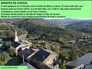 O Covelo desde O Bolo
MONTES DE COVELO
É unha pequena serra situada entre os vales do Bibei e o Xares. O cume máis alto, que
destaca pola súa forma cónica, é o San Bernabé, con 1.226 m. Nas abas consérvanse
carballeiras e está incluído no LIC Pena Trevinca.
Accedese desde desde a estrada da Veiga no Alto de Covelo.
Desde os cumes hai unha amplas panorámicas de toda a comarca.
 