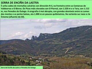 Serra de Enciña da Lastra e Penedos de Oulego
SERRA DE ENCIÑA DA LASTRA
É unha cadea de montañas calcárias con dirección N-S, na fronteira entre as Comarcas de
Valdeorras e O Bierzo. Os Picos máis elevados son O Piornal, con 1.529 m e o Tara, con 1.112
m, nos Penedos do Oulego. A orografía é moi abrupta, con grandes desniveis entre os cumes
dos montes e as partes baixas, ata 1.000 m en poucos quilómetros. Na vertente sur nace o río
Éntoma (afluente do Sil).
 