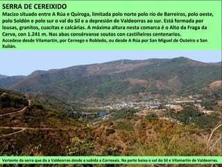 Vertente da serra que da a Valdeorras desde a subida a Correxais. Na parte baixa o val do Sil e Vilamartín de Valdeorras.
SERRA DE CEREIXIDO
Macizo situado entre A Rúa e Quiroga, limitada polo norte polo río de Barreiros, polo oeste,
polo Soldón e polo sur o val do Sil e a depresión de Valdeorras ao sur. Está formada por
lousas, granitos, cuacitas e calcárias. A máxima altura nesta comarca é o Alto da Fraga da
Cerva, con 1.241 m. Nas abas consérvanse soutos con castiñeiros centenarios.
Accedese desde Vilamartín, por Cernego e Robledo, ou desde A Rúa por San Miguel de Outeiro a San
Xulián.
 