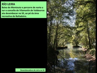 RÍO LEIRA
Baixa do Montouto e percorre de norte a
sur o concello de Vilamartín de Valdeorras
ata desembocar no Sil, ao pé da área
recreativa do Bañadoiro.
Desembocadura do Leira no Sil
 