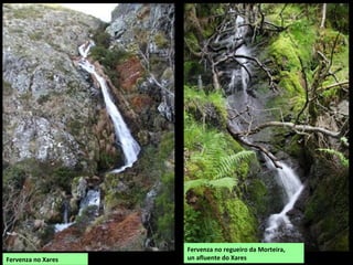 Fervenza no Xares
Fervenza no regueiro da Morteira,
un afluente do Xares
 